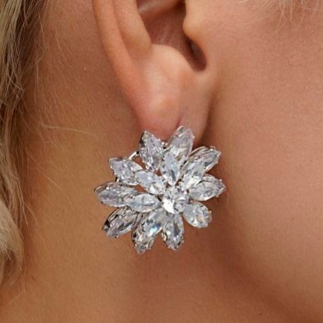 گوشواره جواهری در تنوع طرح رنگ کاملا ثابت کد bn (پس کرایه)